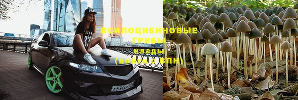 таблы Покровск