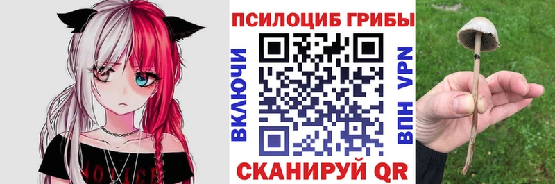 Купить  Волжский  Псилоцибиновые грибы мухоморы 